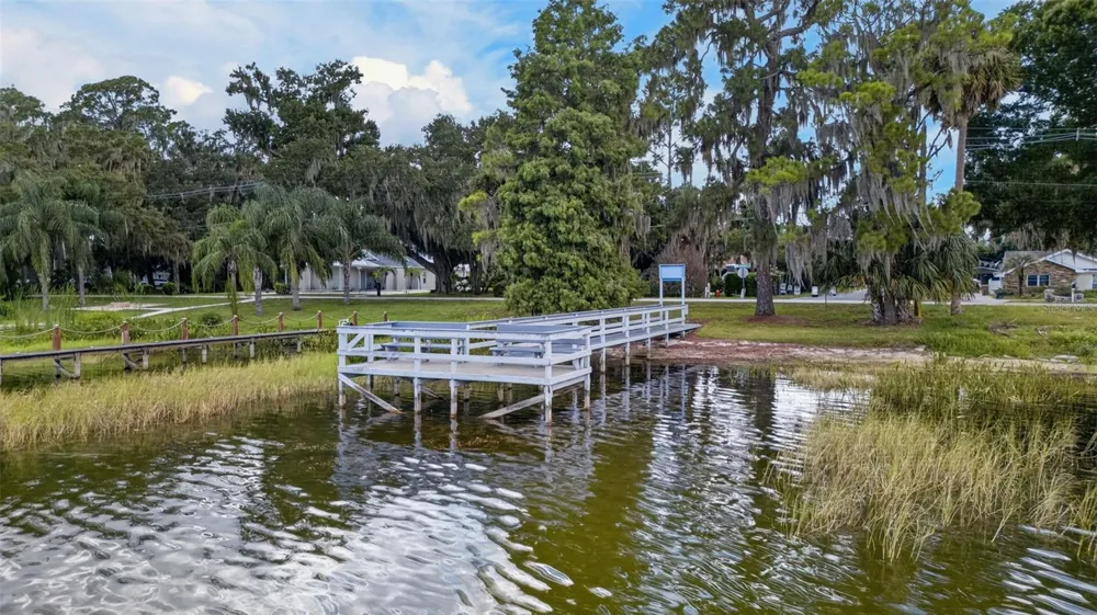 3250 LAUREL DRIVE Mount Dora, FL 32757