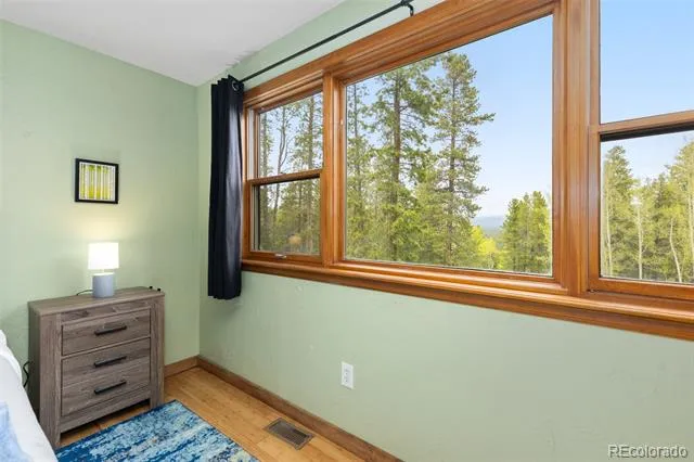 201 Genevas Way Black Hawk, CO 80422