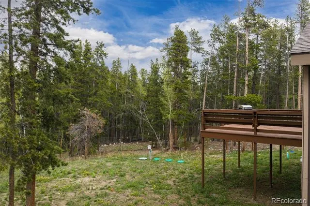 201 Genevas Way Black Hawk, CO 80422