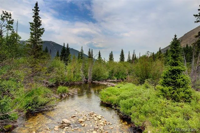 9562 CO RD 18 Fairplay, CO 80440