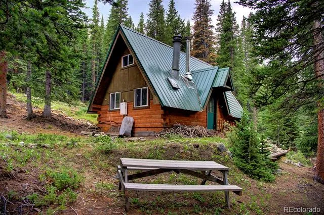 9562 CO RD 18 Fairplay, CO 80440
