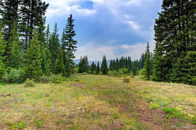 9562 CO RD 18 Fairplay, CO 80440