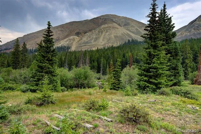 9562 CO RD 18 Fairplay, CO 80440
