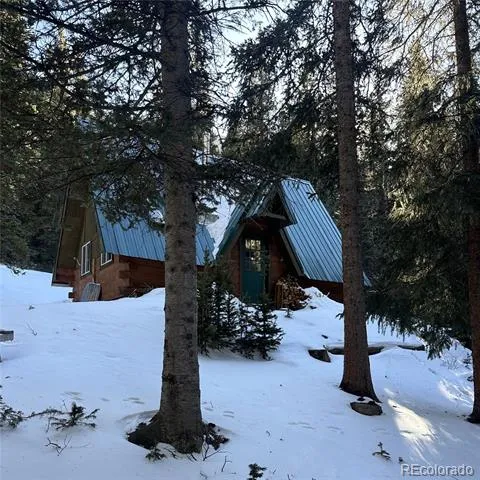 9562 CO RD 18 Fairplay, CO 80440