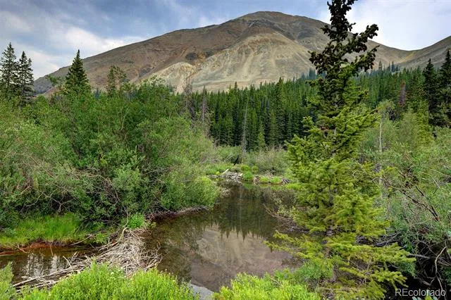 9562 CO RD 18 Fairplay, CO 80440