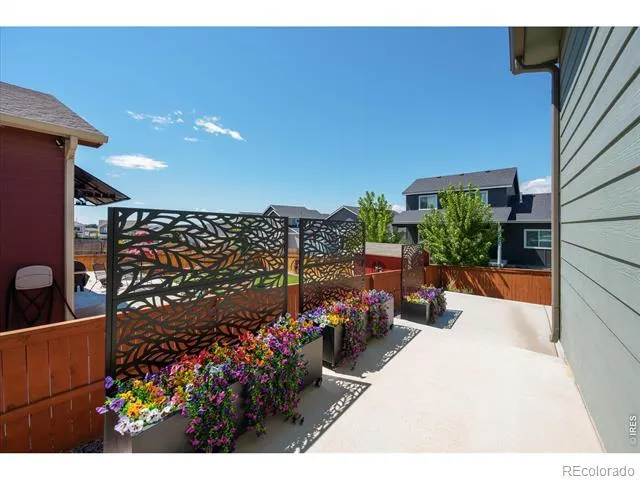 1087 Long Meadows Street Severance, CO 80550