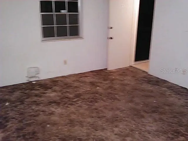 10006 MITCHELL AVENUE Tampa, FL 33612