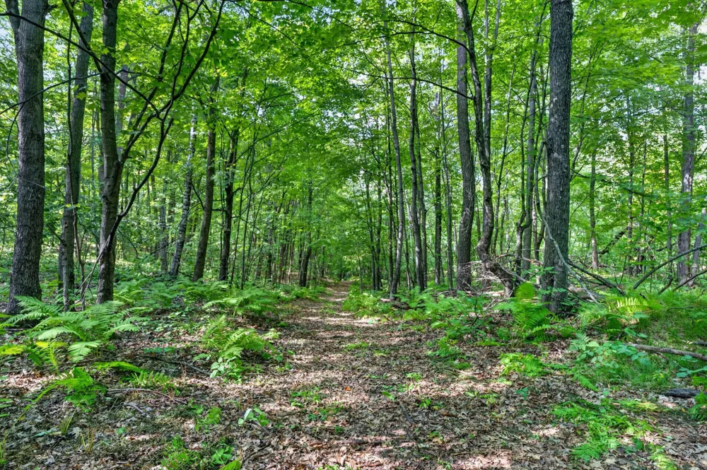 TBD Cty Hwy B Shell Lake, WI 54871