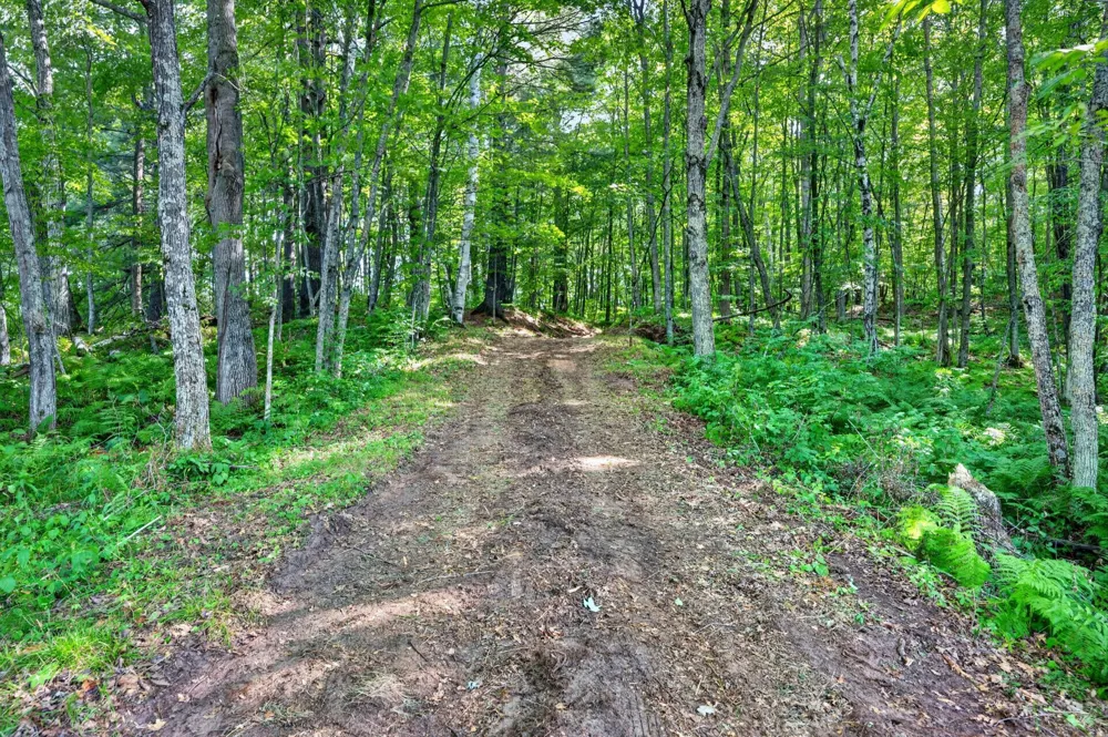 TBD Cty Hwy B Shell Lake, WI 54871