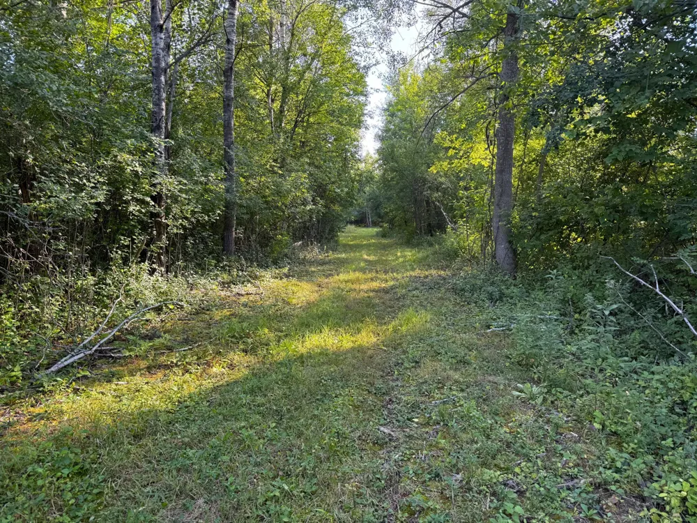 1XXX 150th Avenue Ogilvie, MN 56358