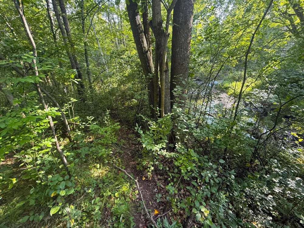 1XXX 150th Avenue Ogilvie, MN 56358