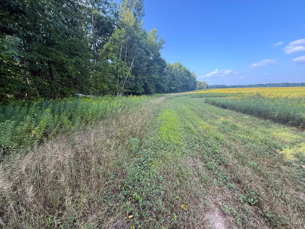 1XXX 150th Avenue Ogilvie, MN 56358