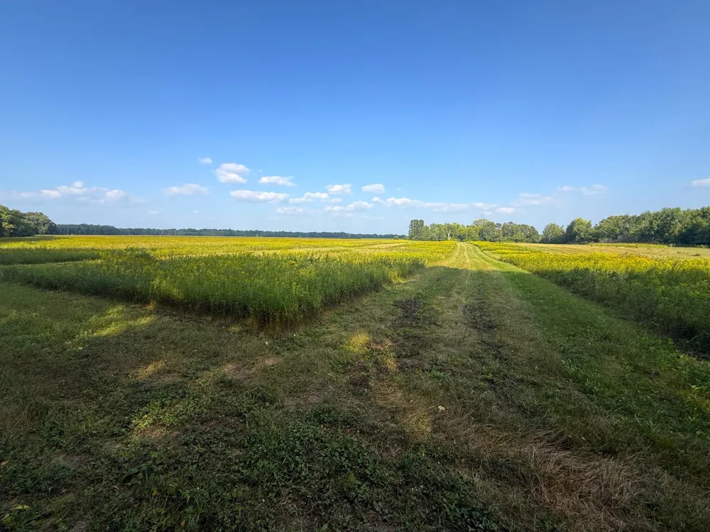 1XXX 150th Avenue Ogilvie, MN 56358