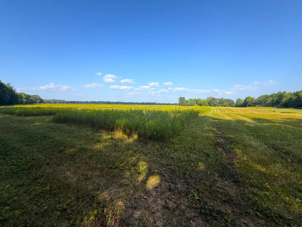 1XXX 150th Avenue Ogilvie, MN 56358