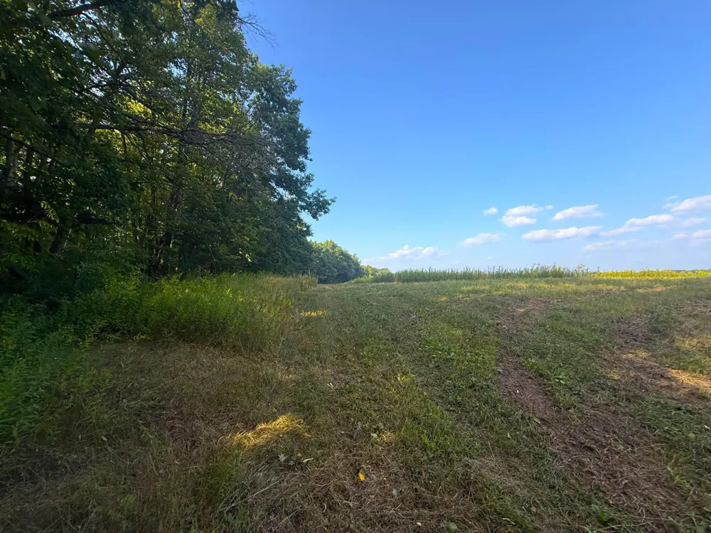 1XXX 150th Avenue Ogilvie, MN 56358