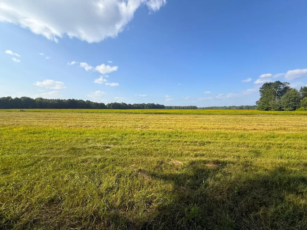1XXX 150th Avenue Ogilvie, MN 56358