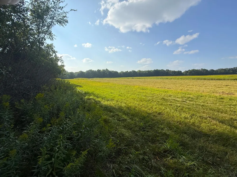 1XXX 150th Avenue Ogilvie, MN 56358
