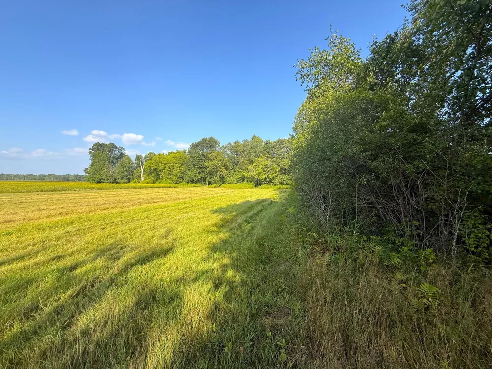 1XXX 150th Avenue Ogilvie, MN 56358