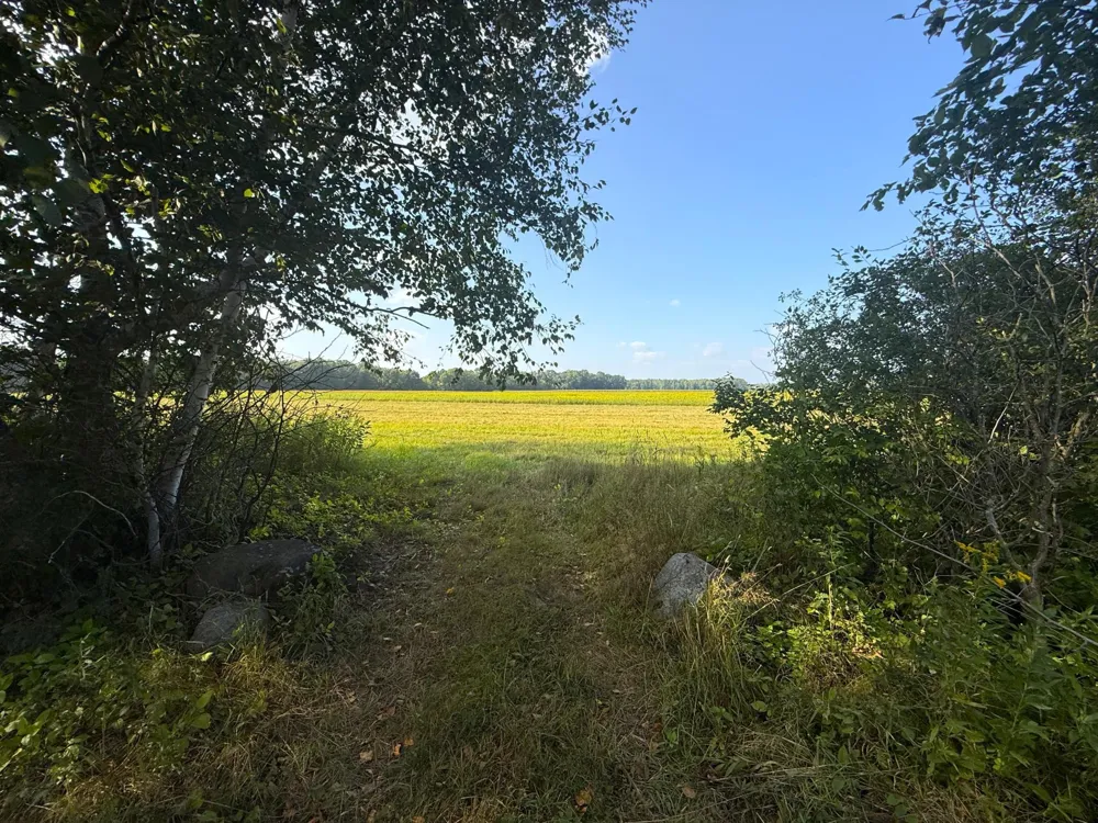 1XXX 150th Avenue Ogilvie, MN 56358