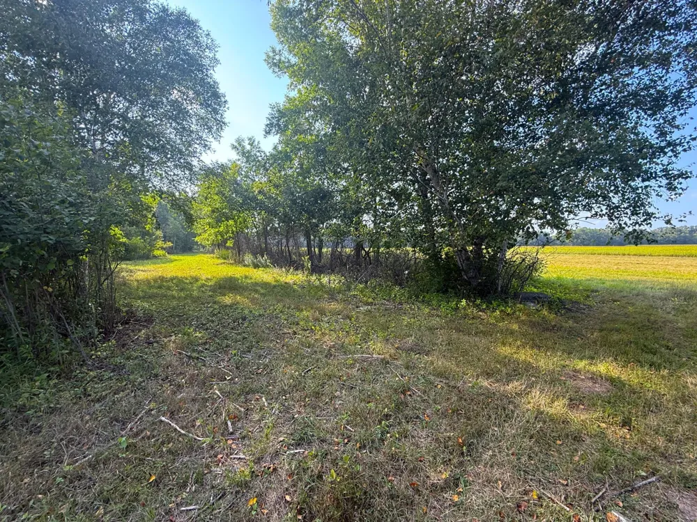1XXX 150th Avenue Ogilvie, MN 56358