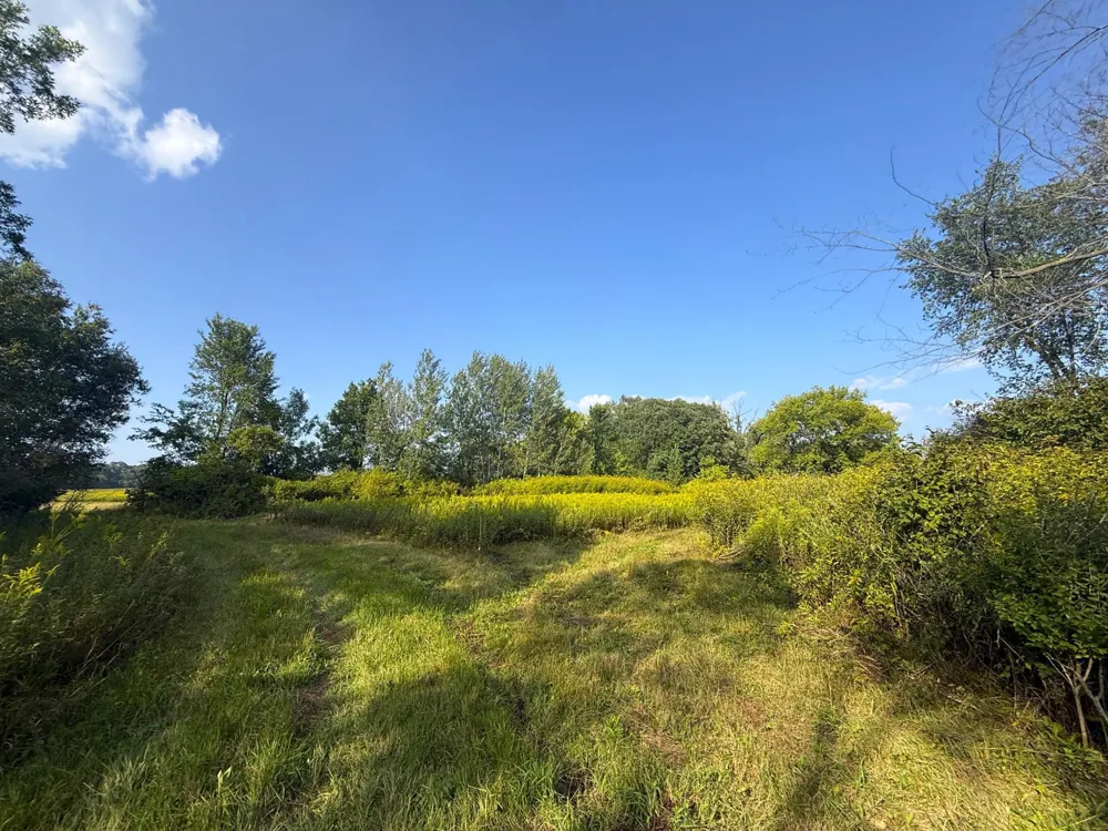 1XXX 150th Avenue Ogilvie, MN 56358