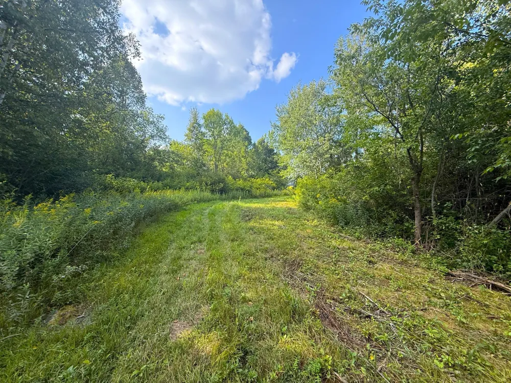 1XXX 150th Avenue Ogilvie, MN 56358