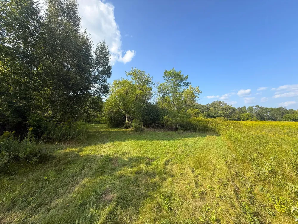 1XXX 150th Avenue Ogilvie, MN 56358