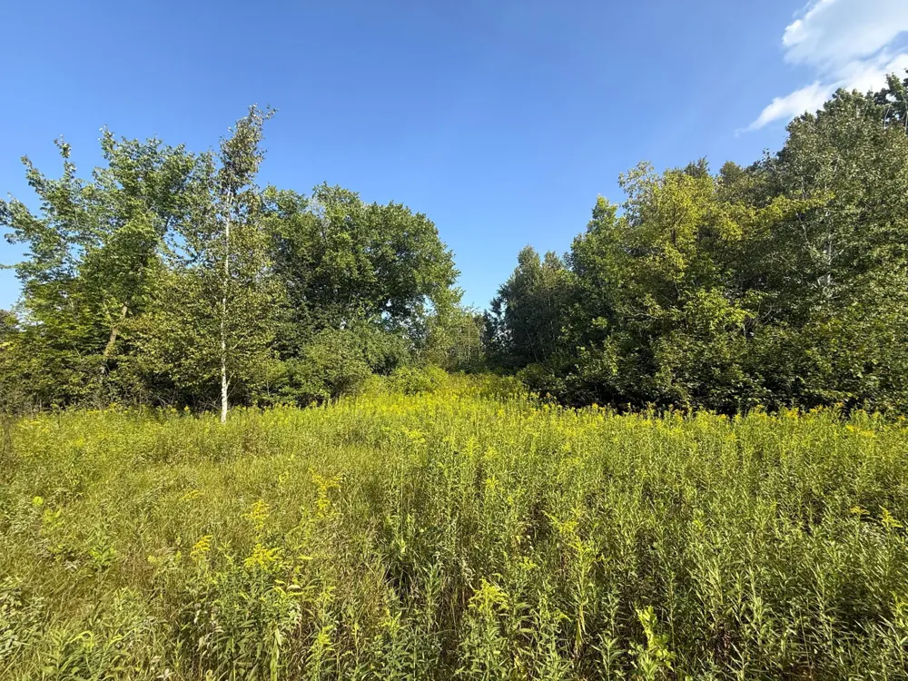1XXX 150th Avenue Ogilvie, MN 56358