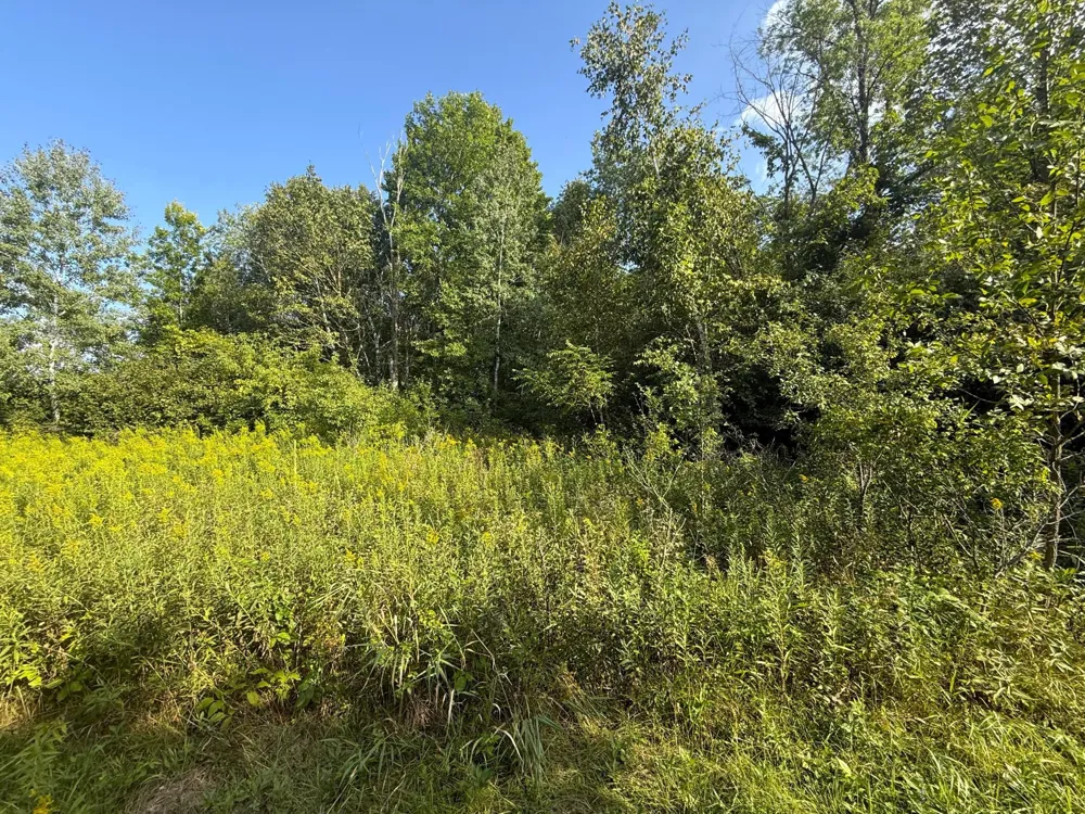 1XXX 150th Avenue Ogilvie, MN 56358