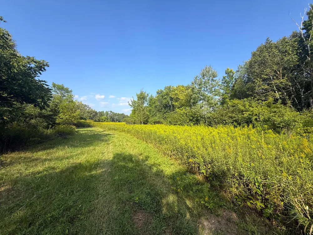 1XXX 150th Avenue Ogilvie, MN 56358