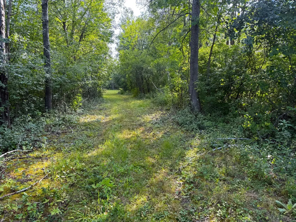 1XXX 150th Avenue Ogilvie, MN 56358