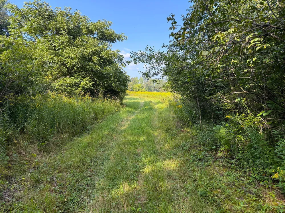 1XXX 150th Avenue Ogilvie, MN 56358