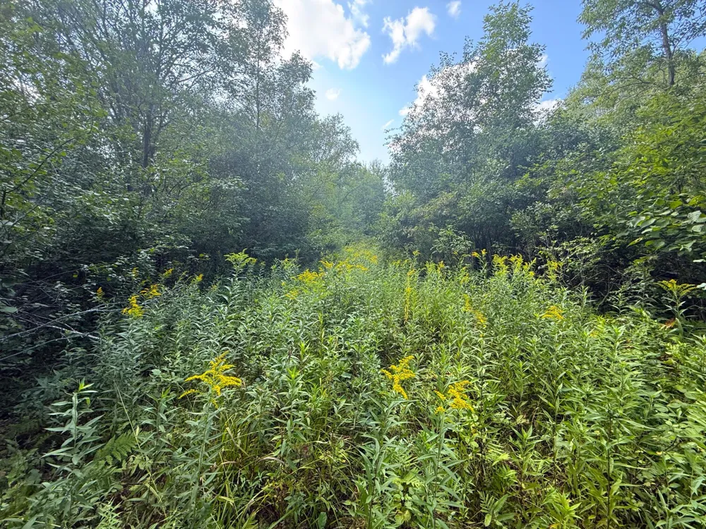 1XXX 150th Avenue Ogilvie, MN 56358