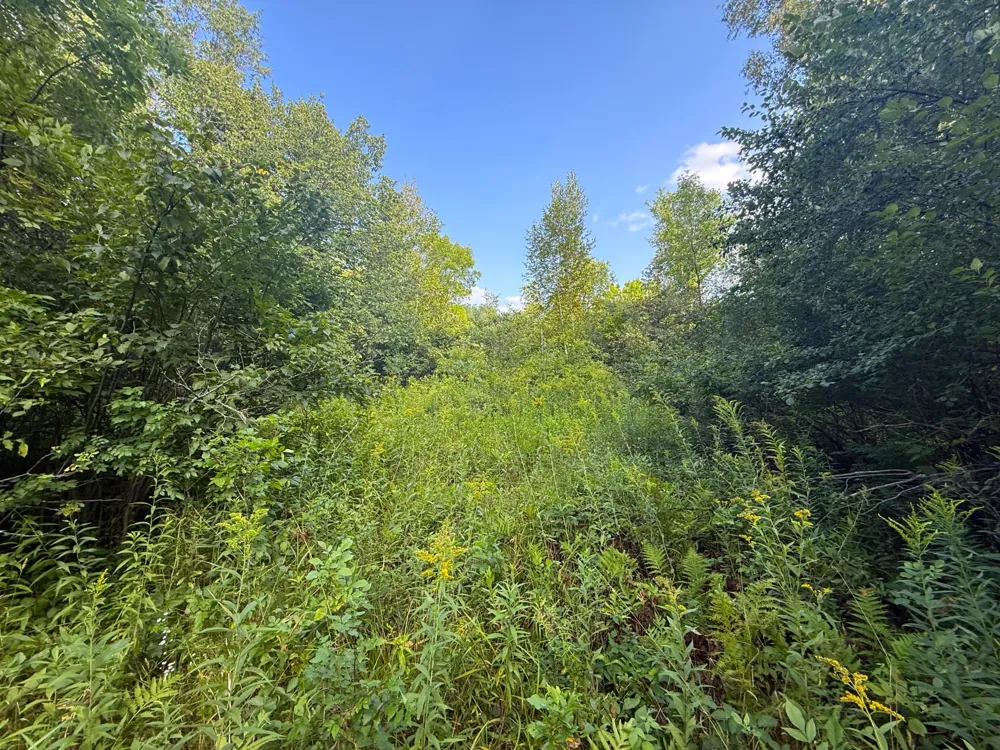 1XXX 150th Avenue Ogilvie, MN 56358