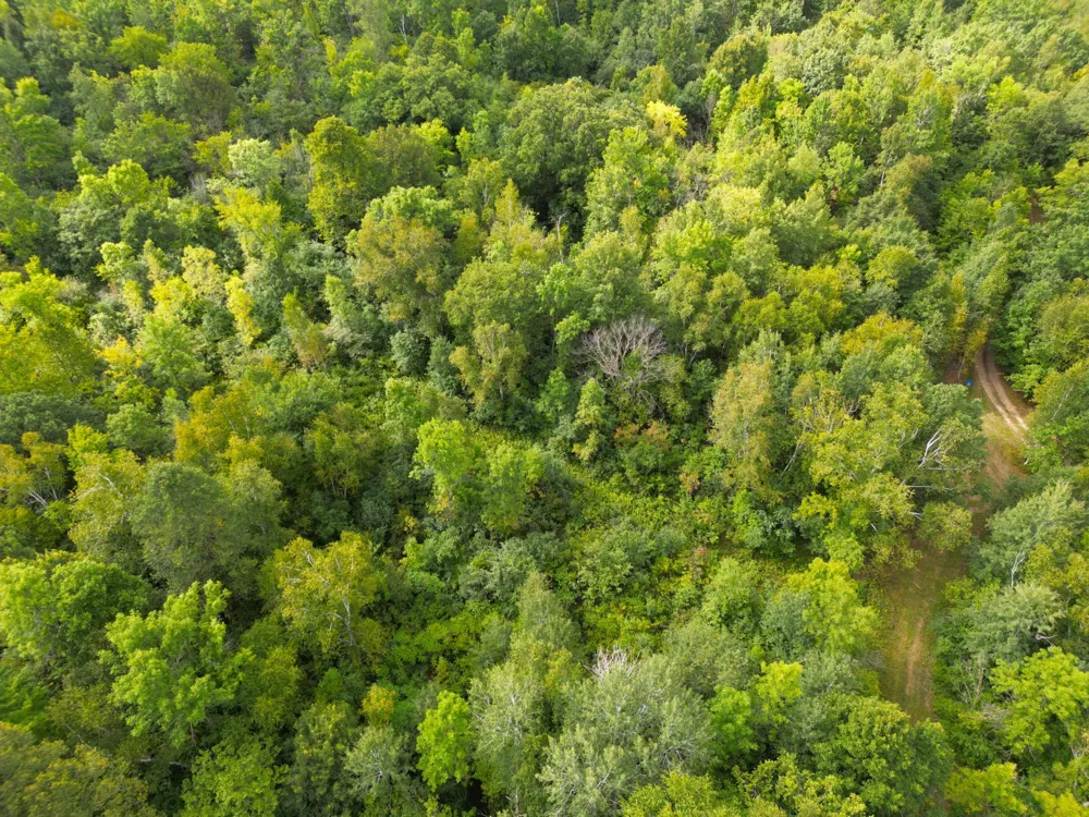 1XXX 150th Avenue Ogilvie, MN 56358