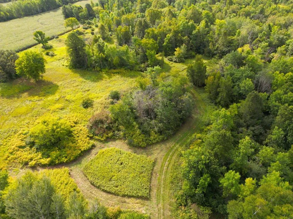 1XXX 150th Avenue Ogilvie, MN 56358