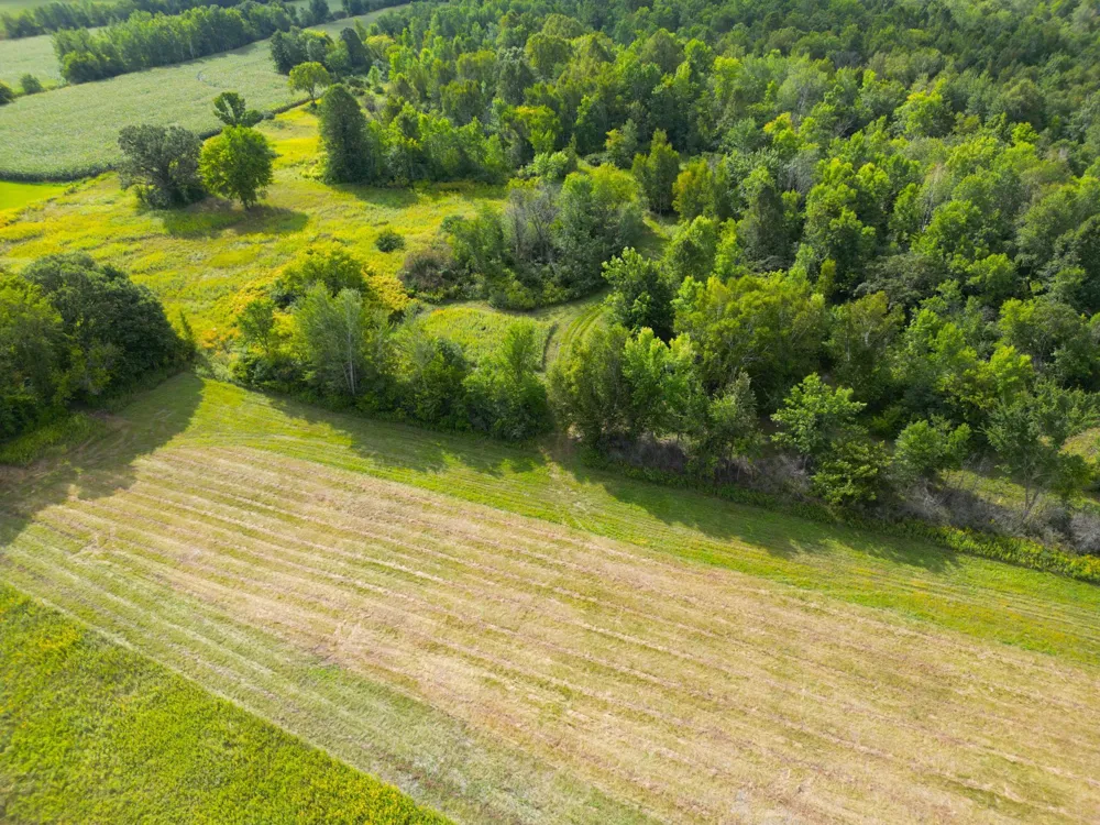 1XXX 150th Avenue Ogilvie, MN 56358