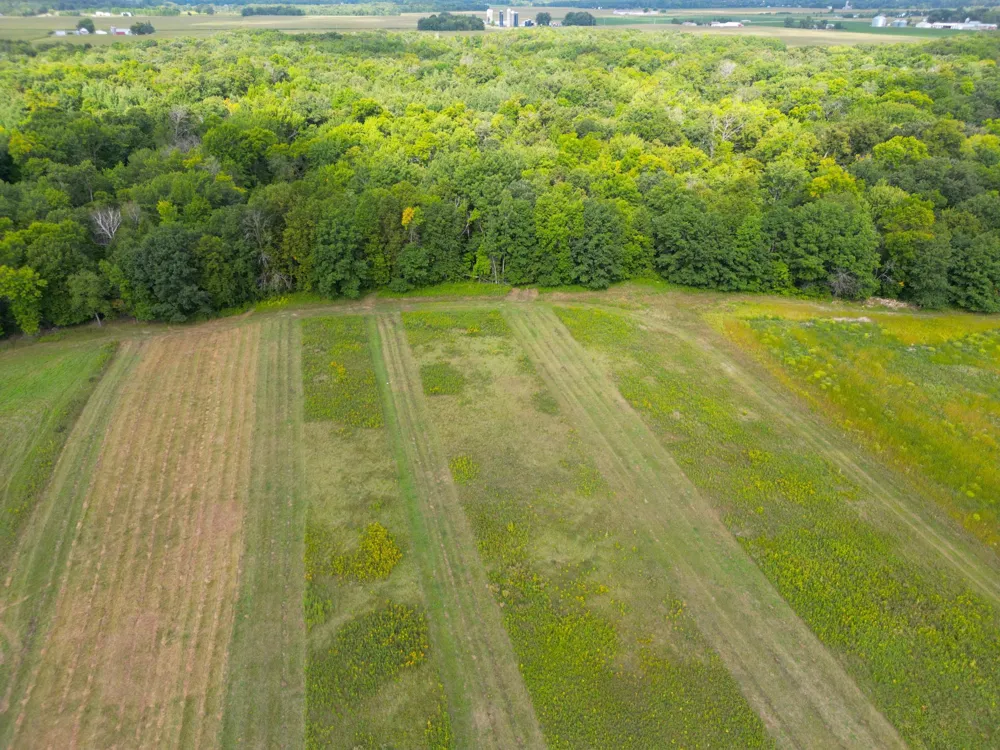 1XXX 150th Avenue Ogilvie, MN 56358