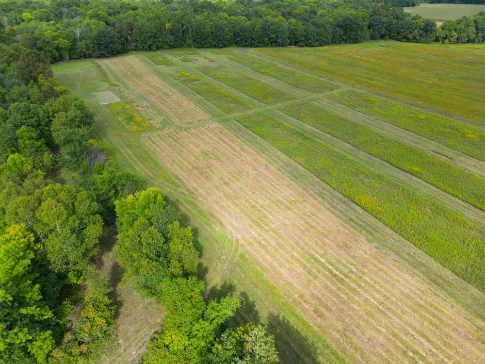 1XXX 150th Avenue Ogilvie, MN 56358
