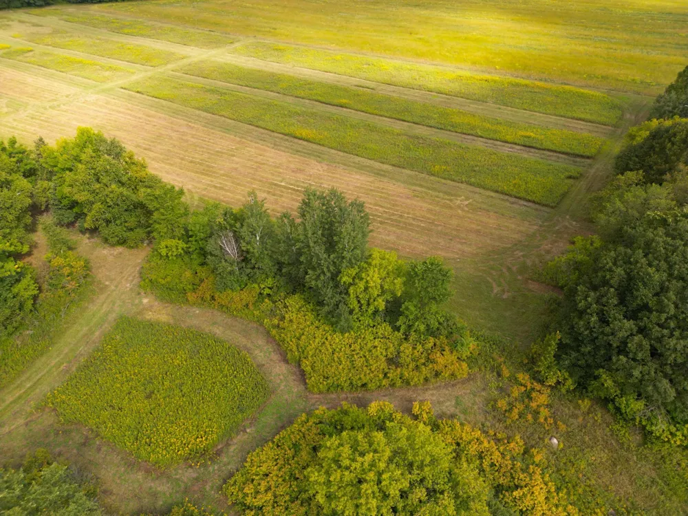 1XXX 150th Avenue Ogilvie, MN 56358