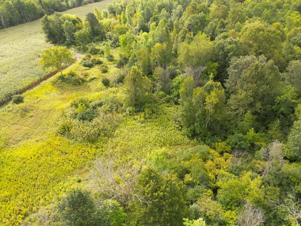 1XXX 150th Avenue Ogilvie, MN 56358