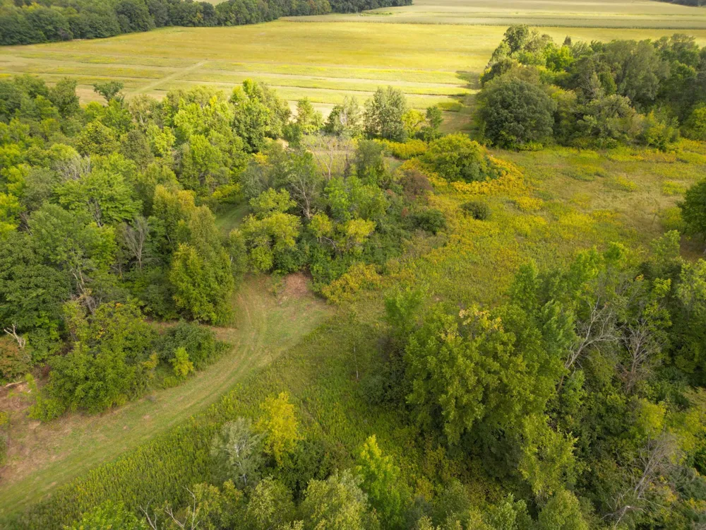 1XXX 150th Avenue Ogilvie, MN 56358