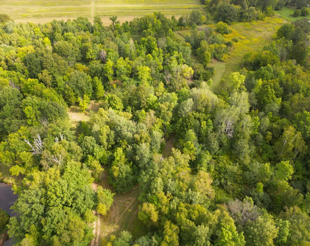 1XXX 150th Avenue Ogilvie, MN 56358