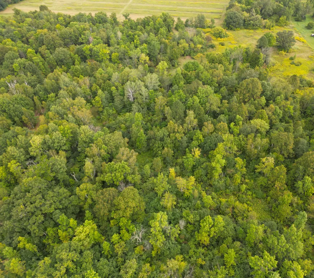 1XXX 150th Avenue Ogilvie, MN 56358