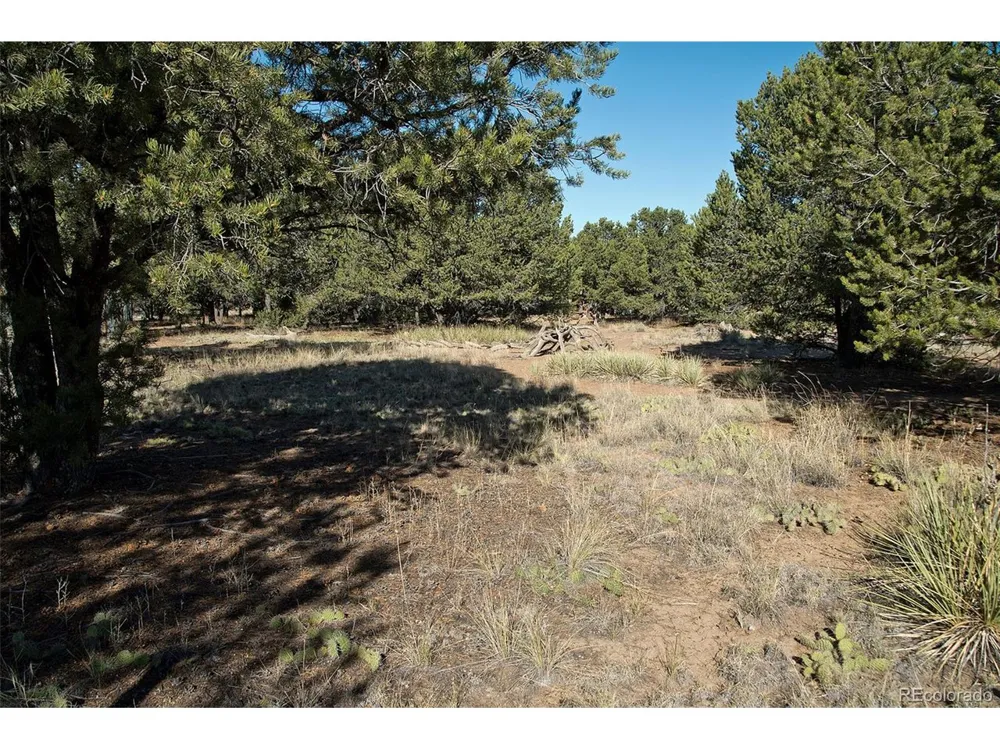 2077 Medicine Bow Overlook Crestone, CO 81131