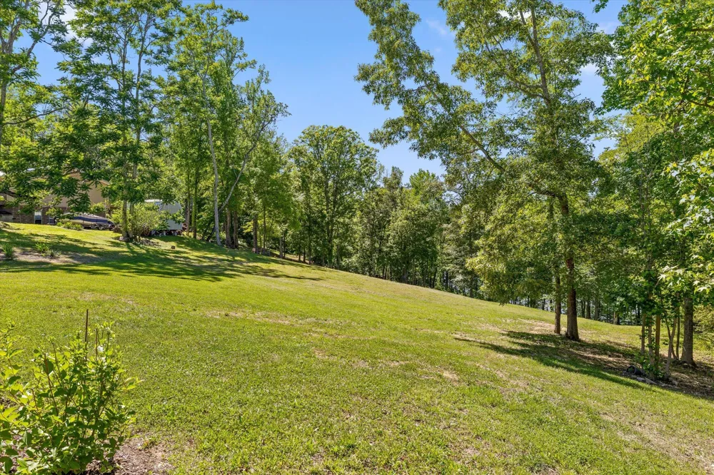 15025 May Road Sale Creek, TN 37373