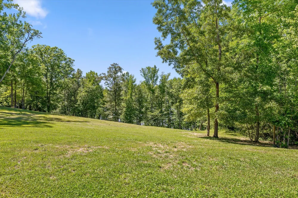 15025 May Road Sale Creek, TN 37373