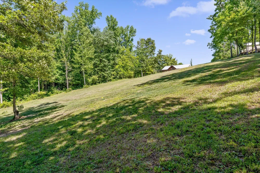 15025 May Road Sale Creek, TN 37373