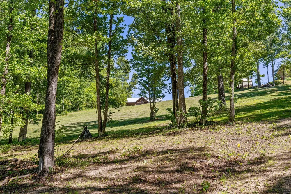 15025 May Road Sale Creek, TN 37373