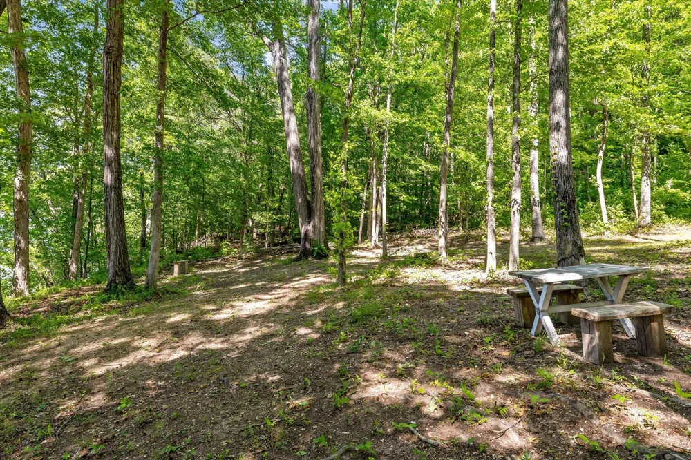 15025 May Road Sale Creek, TN 37373